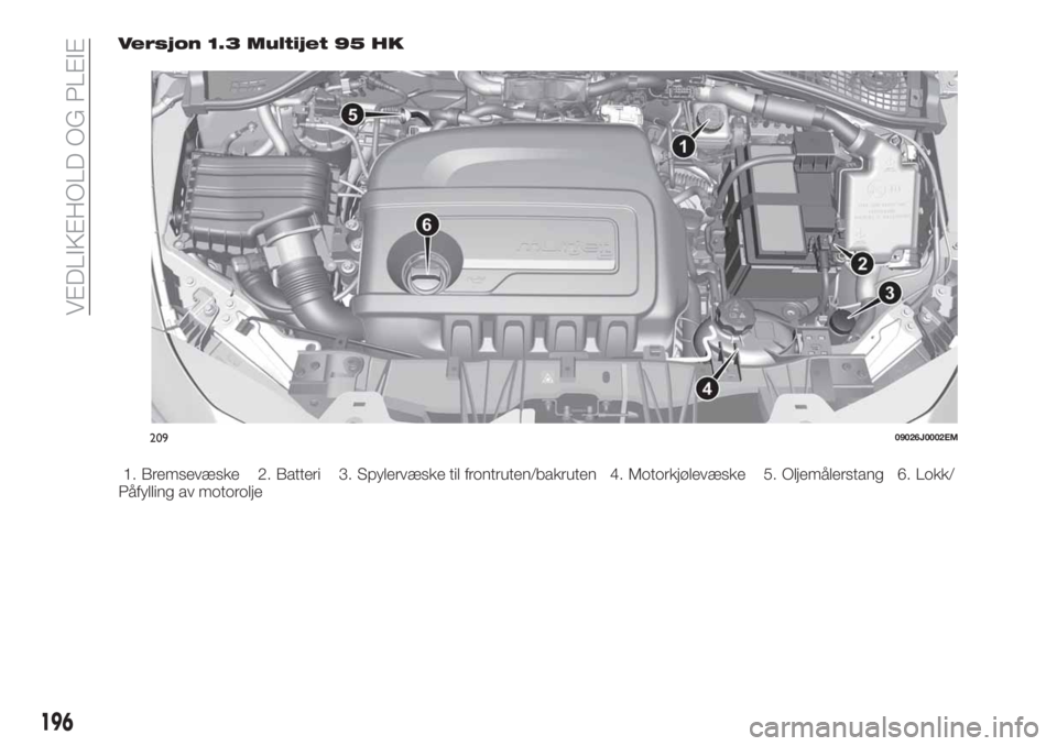 FIAT TIPO 5DOORS STATION WAGON 2019  Drift- og vedlikeholdshåndbok (in Norwegian) Versjon 1.3 Multijet 95 HK
1. Bremsevæske 2. Batteri 3. Spylervæske til frontruten/bakruten 4. Motorkjølevæske 5. Oljemålerstang 6. Lokk/
Påfylling av motorolje
20909026J0002EM
196
VEDLIKEHOLD O