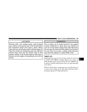 Page 251