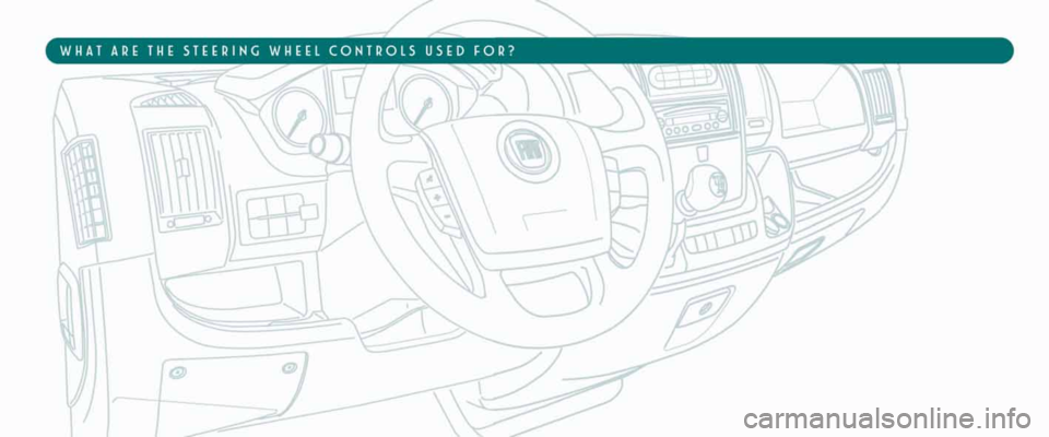 FIAT DUCATO 250 2008 3.G Blue And Me User Manual 