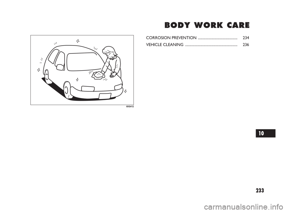 FIAT SEDICI 2007 2.G Owners Manual 233
B B
O O
D D
Y Y
W W
O O
R R
K K
C C
A A
R R
E E
60G412
CORROSION PREVENTION ........................................... 234
VEHICLE CLEANING .......................................................