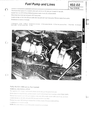 Page 261