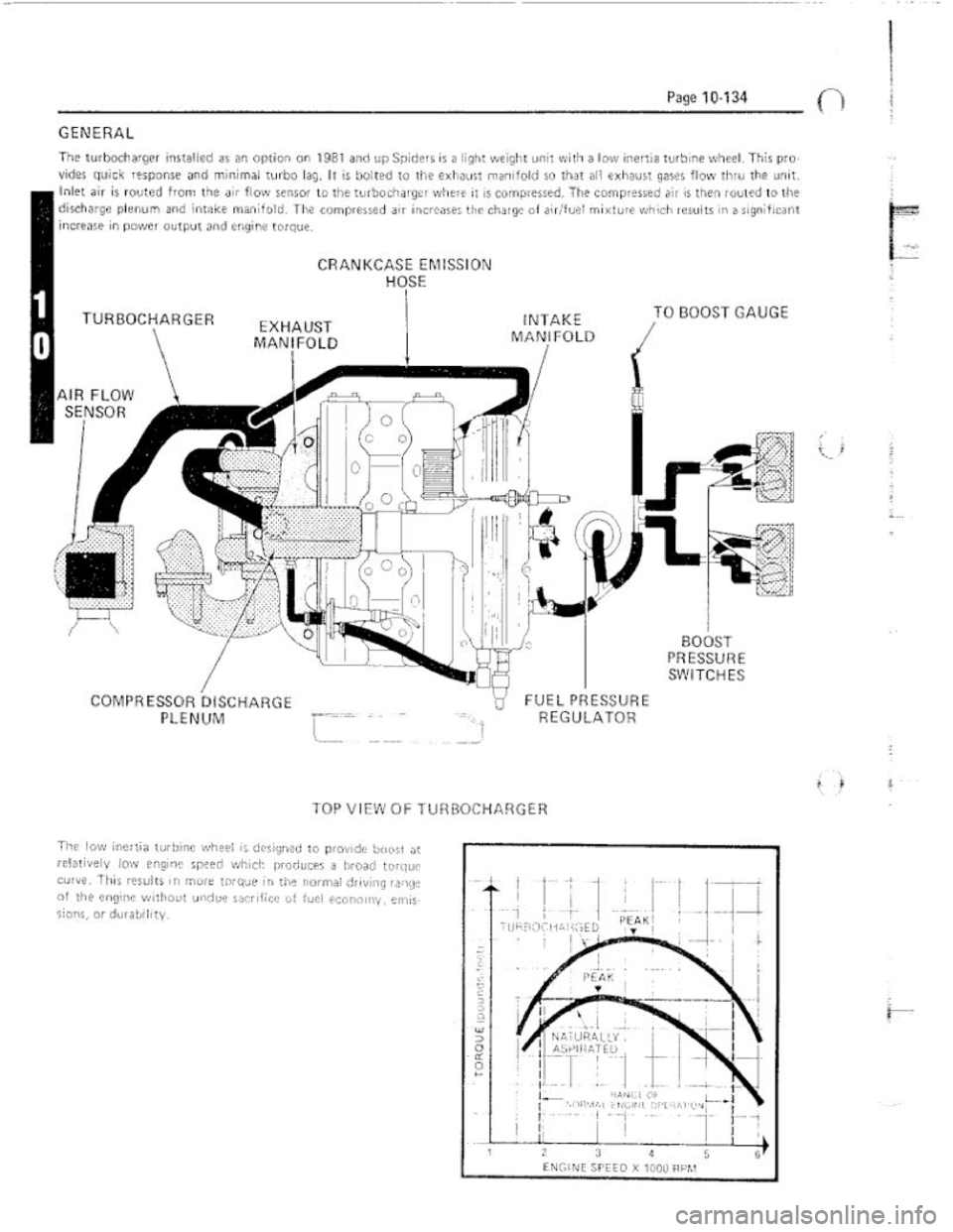 FIAT 124 SPIDER 1975  Service Manual 