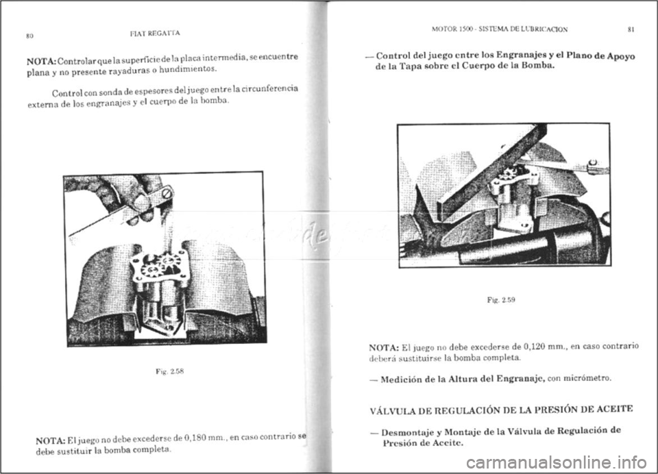 FIAT REGATA 1987  Service Repair Manual 
