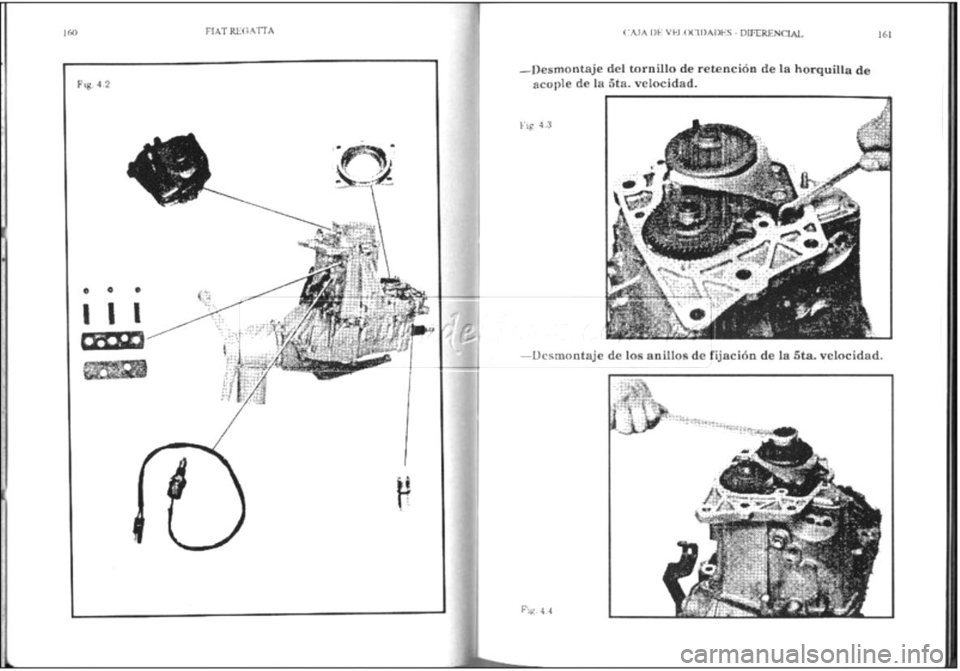 FIAT REGATA 1987  Service Repair Manual 