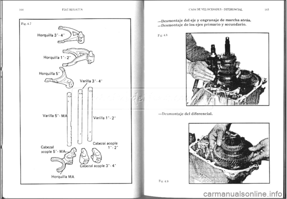 FIAT REGATA 1987  Service Repair Manual 