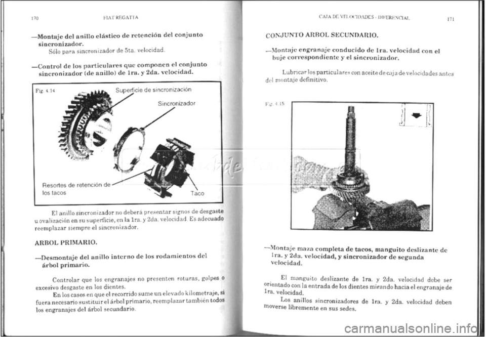 FIAT REGATA 1987  Service Repair Manual 