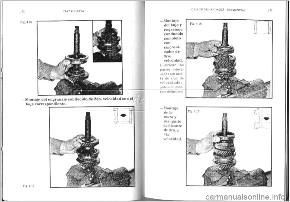 FIAT REGATA 1987  Service Repair Manual 