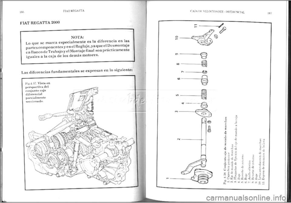FIAT REGATA 1987  Service Repair Manual 
