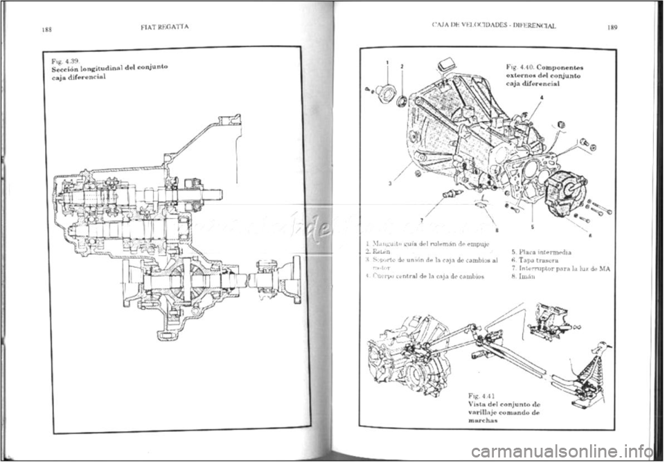 FIAT REGATA 1987  Service Repair Manual 