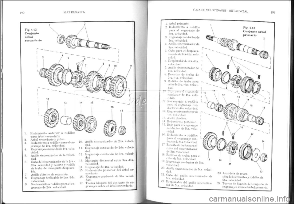 FIAT REGATA 1987  Service Repair Manual 