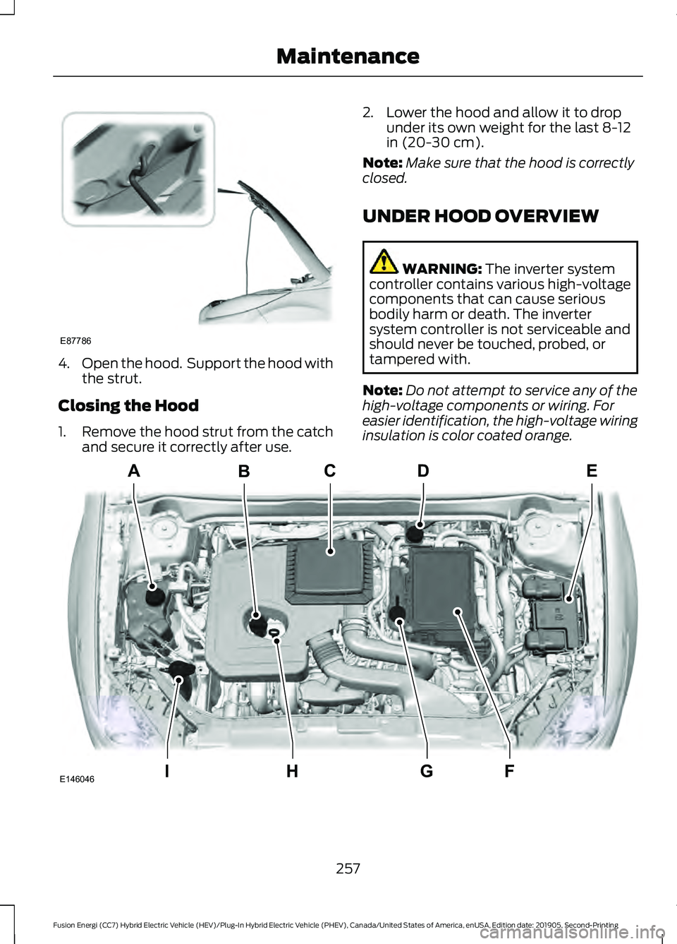 FORD FUSION/HYBRID 2020  Owners Manual 4.
Open the hood.  Support the hood with
the strut.
Closing the Hood
1. Remove the hood strut from the catch
and secure it correctly after use. 2. Lower the hood and allow it to drop
under its own wei