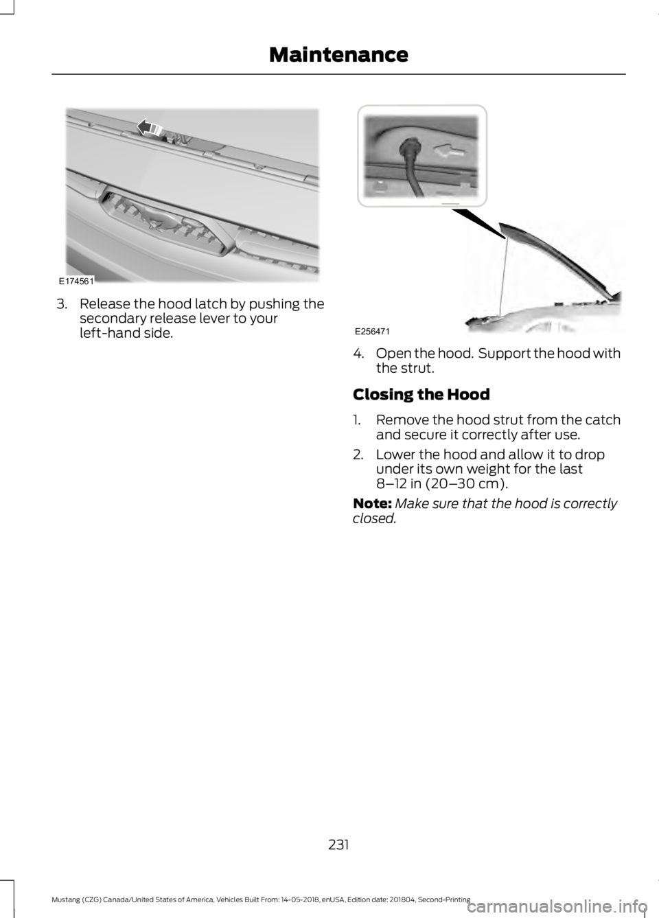 FORD MUSTANG 2019  Owners Manual 3. Release the hood latch by pushing the
secondary release lever to your
left-hand side. 4.
Open the hood.  Support the hood with
the strut.
Closing the Hood
1. Remove the hood strut from the catch
an