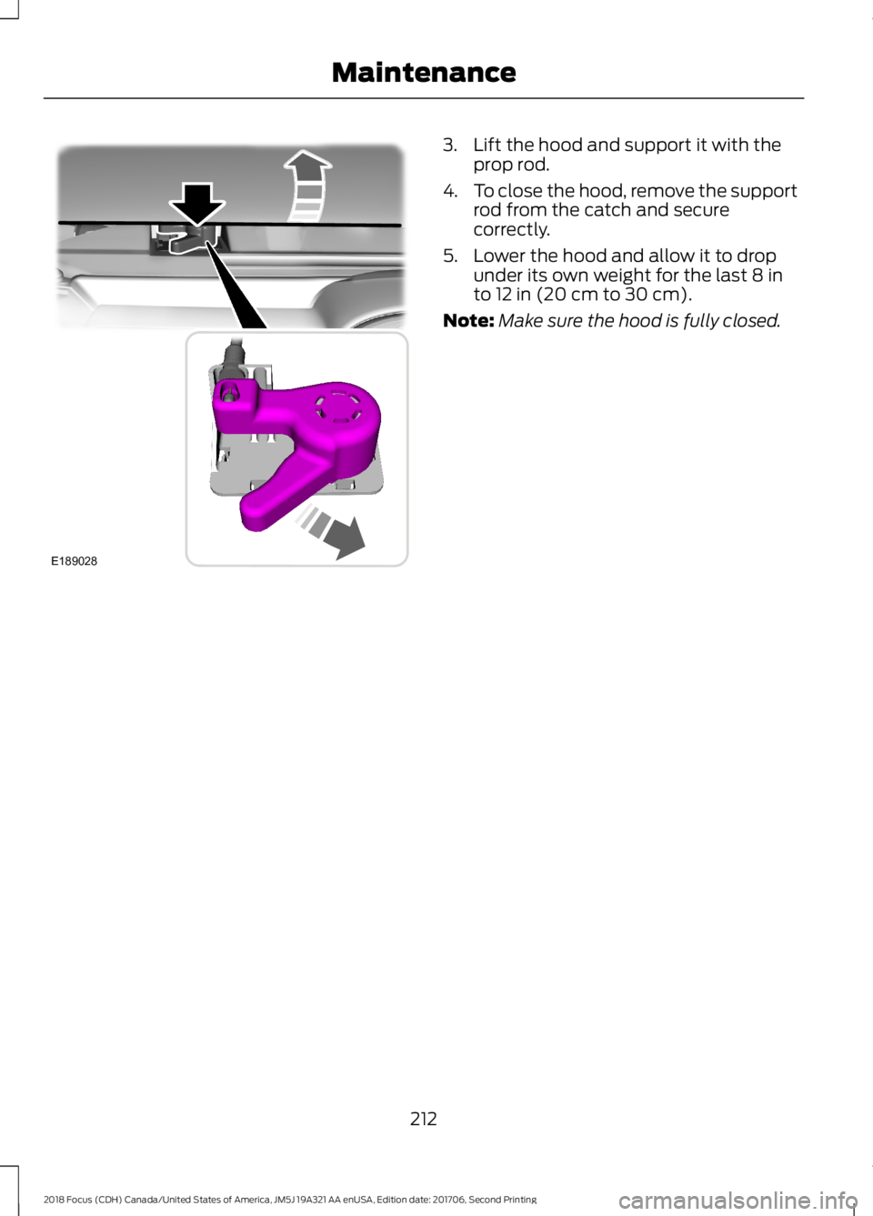 FORD FOCUS 2018  Owners Manual 3.Lift the hood and support it with theprop rod.
4.To close the hood, remove the supportrod from the catch and securecorrectly.
5.Lower the hood and allow it to dropunder its own weight for the last 8