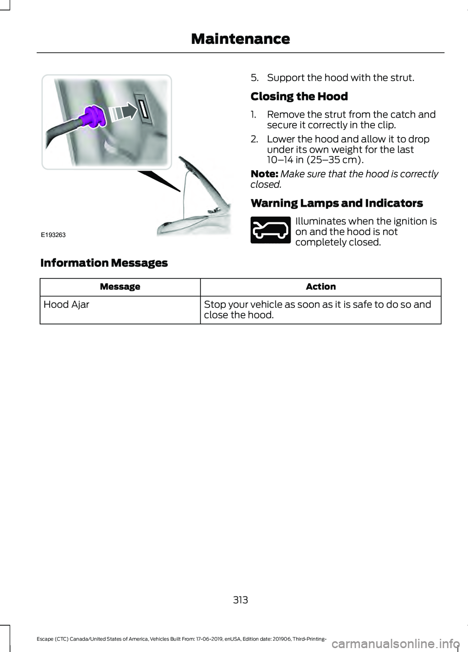 FORD ESCAPE 2020  Owners Manual 5. Support the hood with the strut.
Closing the Hood
1. Remove the strut from the catch and
secure it correctly in the clip.
2. Lower the hood and allow it to drop under its own weight for the last
10