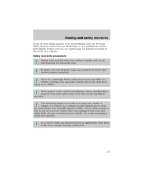 Page 111
