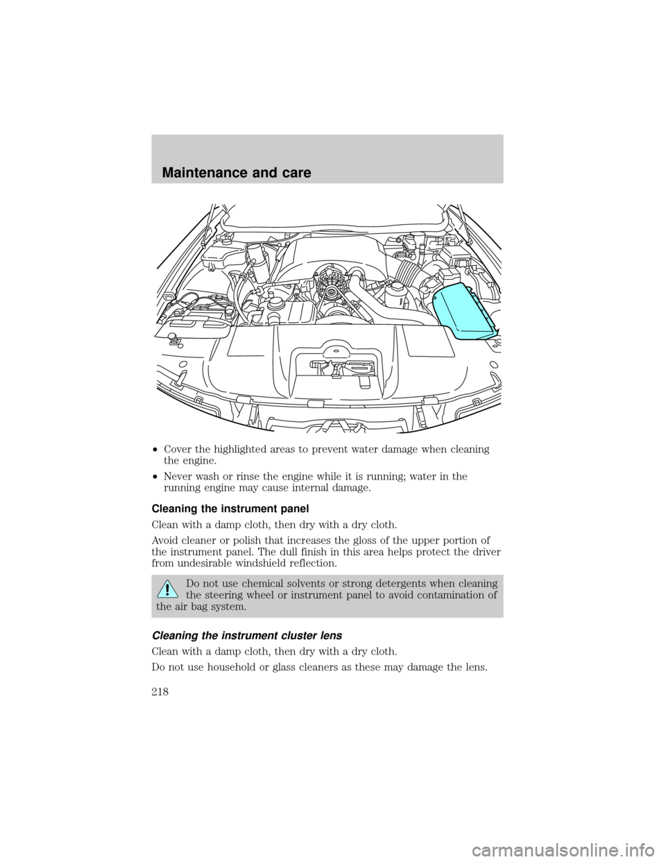 FORD CROWN VICTORIA 2001 2.G Owners Manual ²Cover the highlighted areas to prevent water damage when cleaning
the engine.
²Never wash or rinse the engine while it is running; water in the
running engine may cause internal damage.
Cleaning th
