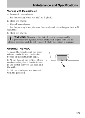 Page 271