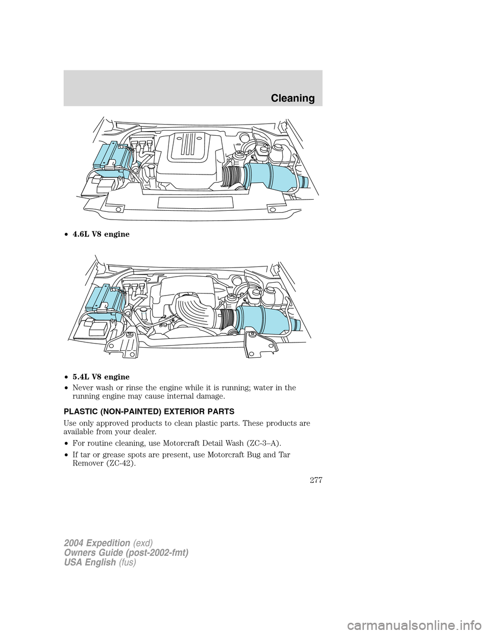 FORD EXPEDITION 2004 2.G Owners Manual •4.6L V8 engine
•5.4L V8 engine
•Never wash or rinse the engine while it is running; water in the
running engine may cause internal damage.
PLASTIC (NON-PAINTED) EXTERIOR PARTS
Use only approved