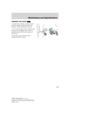 Page 309