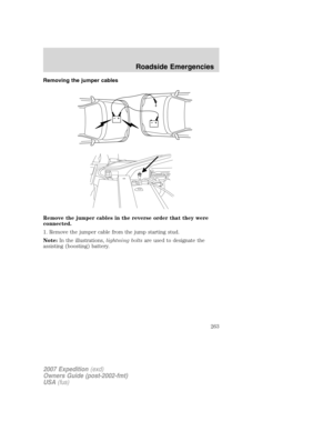 Page 263