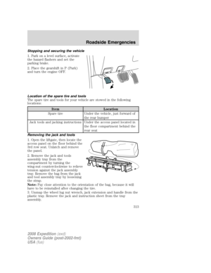 Page 313