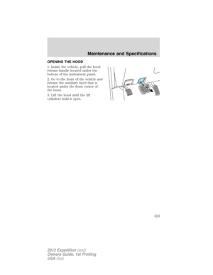 Page 323