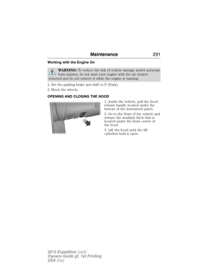 Page 291