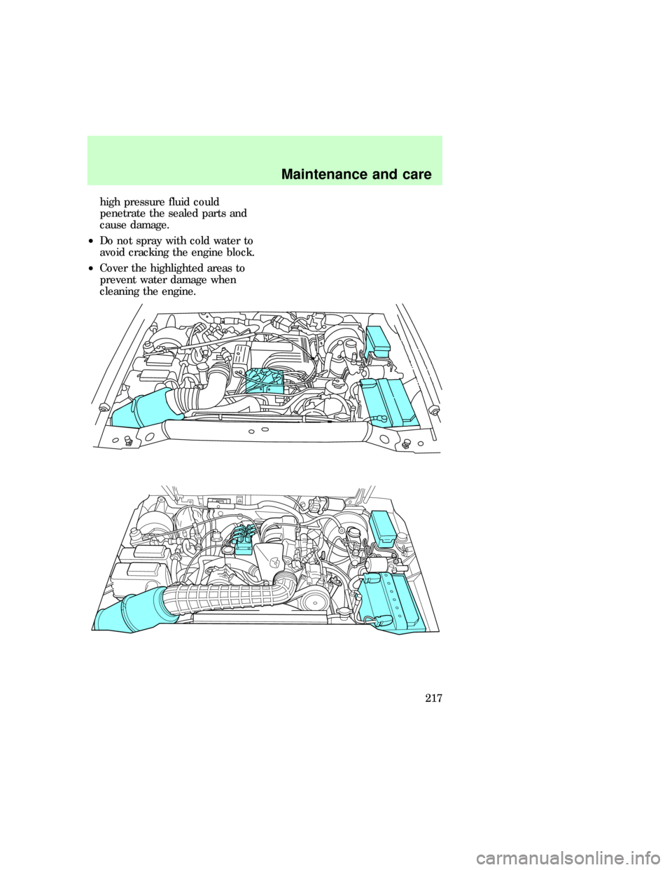 FORD EXPLORER 1997 2.G Owners Manual high pressure fluid could
penetrate the sealed parts and
cause damage.
²Do not spray with cold water to
avoid cracking the engine block.
²Cover the highlighted areas to
prevent water damage when
cle
