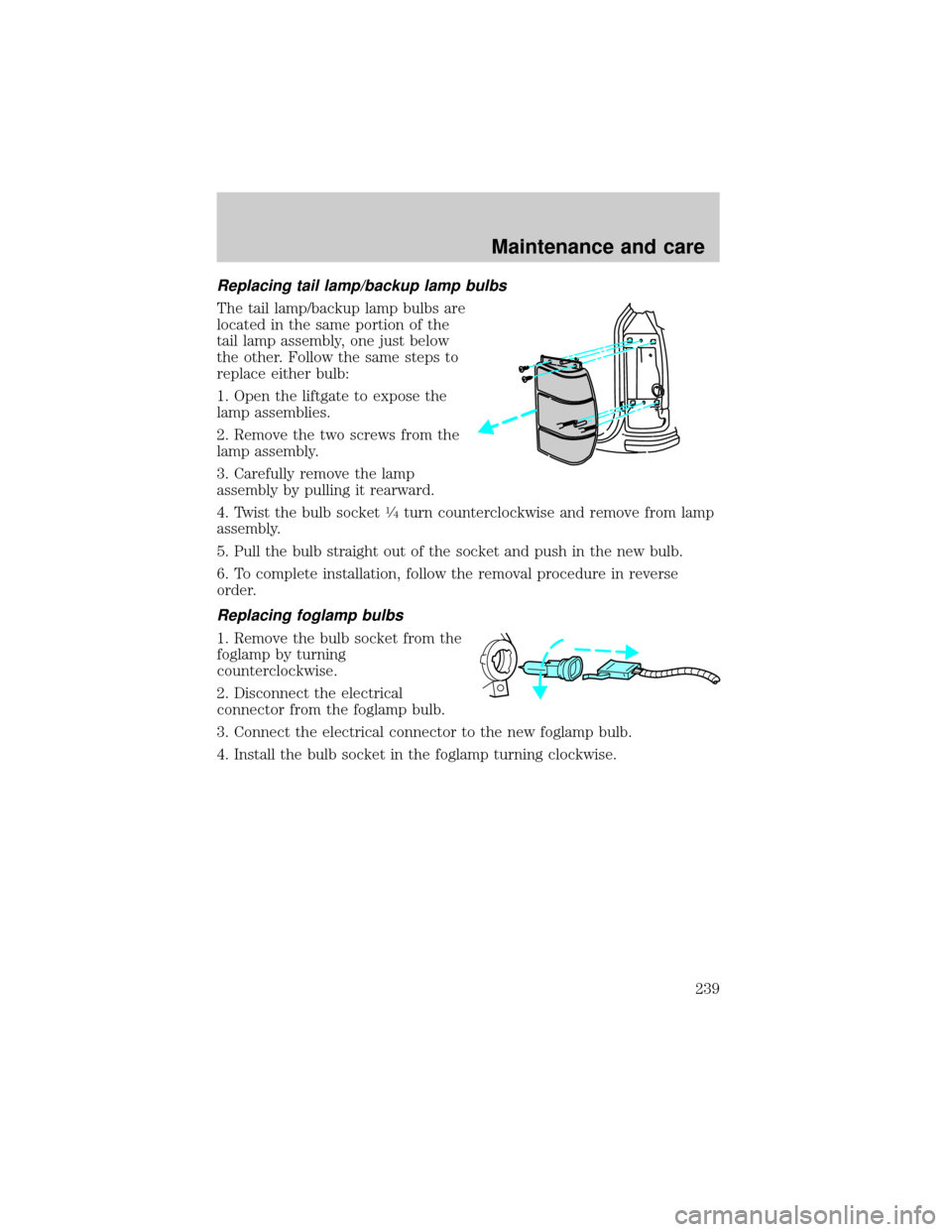 FORD EXPLORER 1999 2.G Owners Manual Replacing tail lamp/backup lamp bulbs
The tail lamp/backup lamp bulbs are
located in the same portion of the
tail lamp assembly, one just below
the other. Follow the same steps to
replace either bulb: