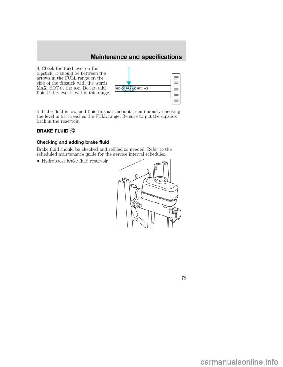 FORD F SERIES MOTORHOME AND COMMERCIAL CHASSIS 2003 10.G Owners Manual 4. Check the fluid level on the
dipstick. It should be between the
arrows in the FULL range on the
side of the dipstick with the words
MAX. HOT at the top. Do not add
fluid if the level is within this