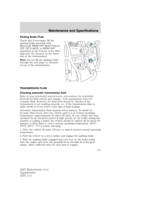 Page 111