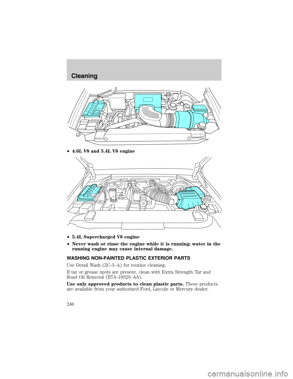 FORD F150 2002 10.G Owners Manual ²4.6L V8 and 5.4L V8 engine
²5.4L Supercharged V8 engine
²Never wash or rinse the engine while it is running; water in the
running engine may cause internal damage.
WASHING NON-PAINTED PLASTIC EXTE