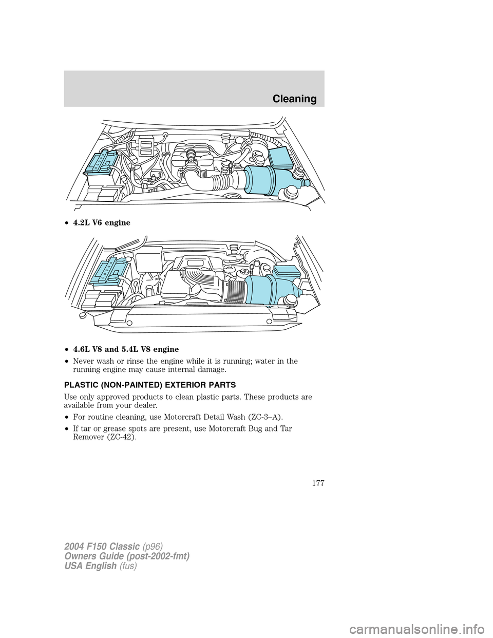 FORD F150 2004 11.G Herritage Owners Manual •4.2L V6 engine
•4.6L V8 and 5.4L V8 engine
•Never wash or rinse the engine while it is running; water in the
running engine may cause internal damage.
PLASTIC (NON-PAINTED) EXTERIOR PARTS
Use o