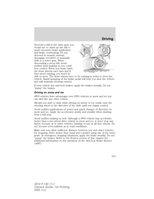 Page 313