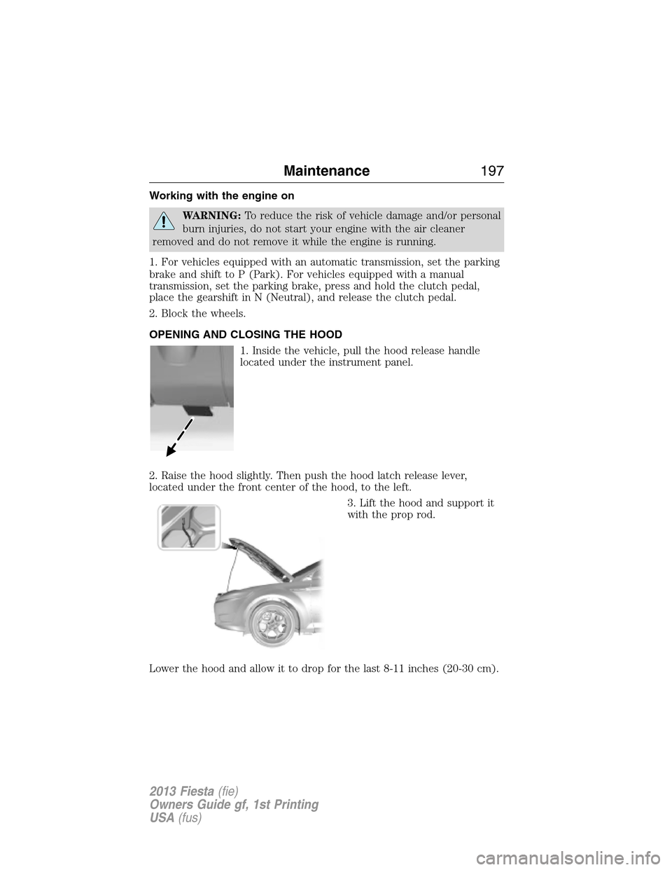FORD FIESTA 2013 6.G Owners Manual Working with the engine on
WARNING:To reduce the risk of vehicle damage and/or personal
burn injuries, do not start your engine with the air cleaner
removed and do not remove it while the engine is ru