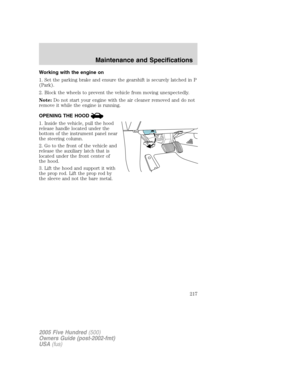 Page 217