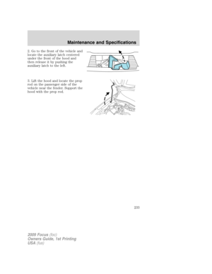 Page 233
