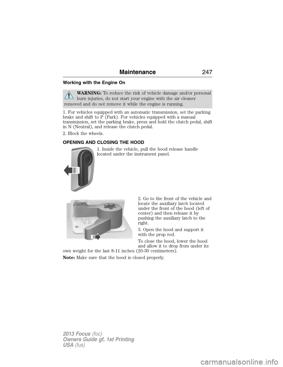 FORD FOCUS 2013 3.G Owners Manual Working with the Engine On
WARNING:To reduce the risk of vehicle damage and/or personal
burn injuries, do not start your engine with the air cleaner
removed and do not remove it while the engine is ru