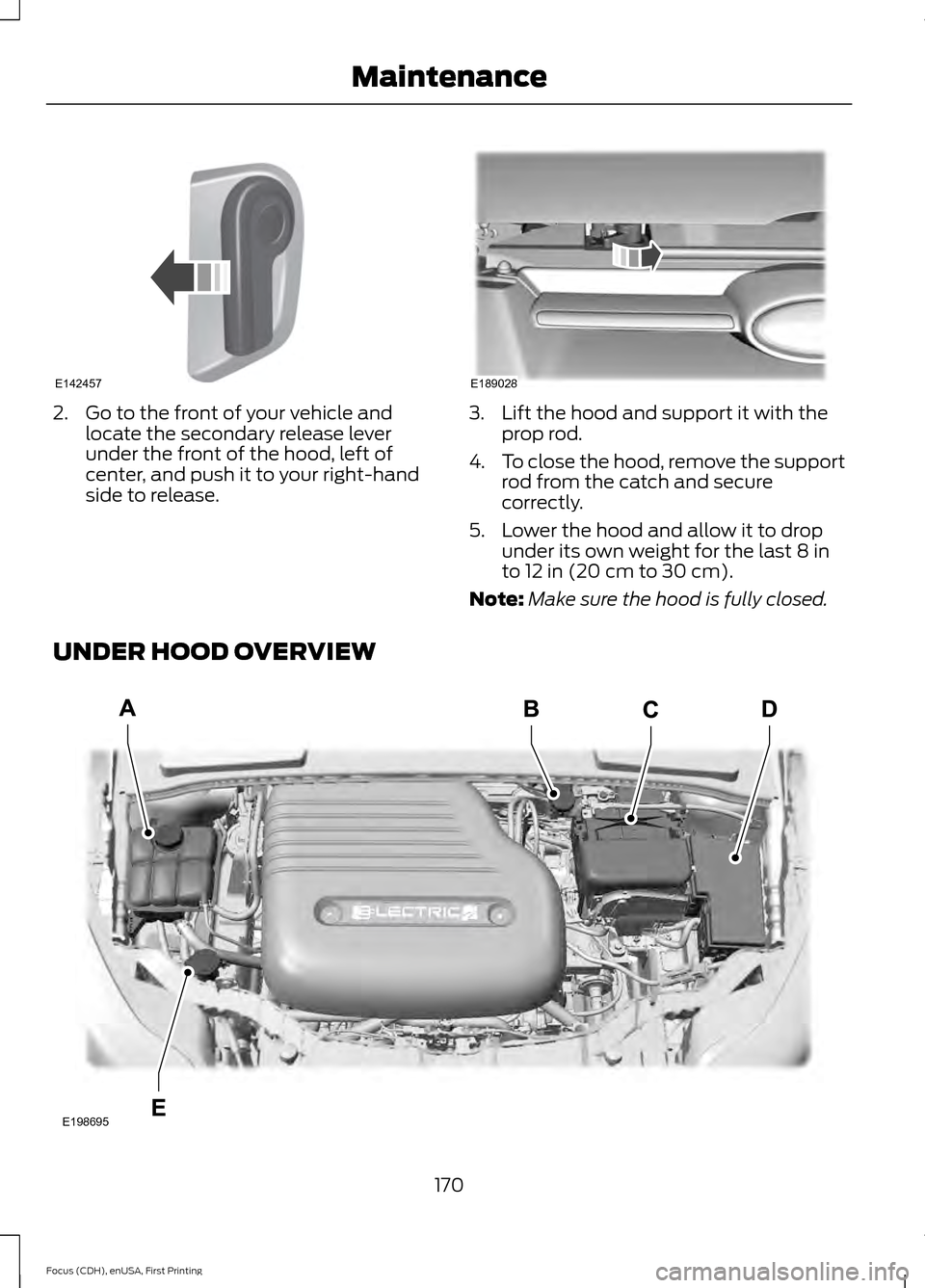 FORD FOCUS ELECTRIC 2015 3.G Owners Manual 2. Go to the front of your vehicle and
locate the secondary release lever
under the front of the hood, left of
center, and push it to your right-hand
side to release. 3. Lift the hood and support it w