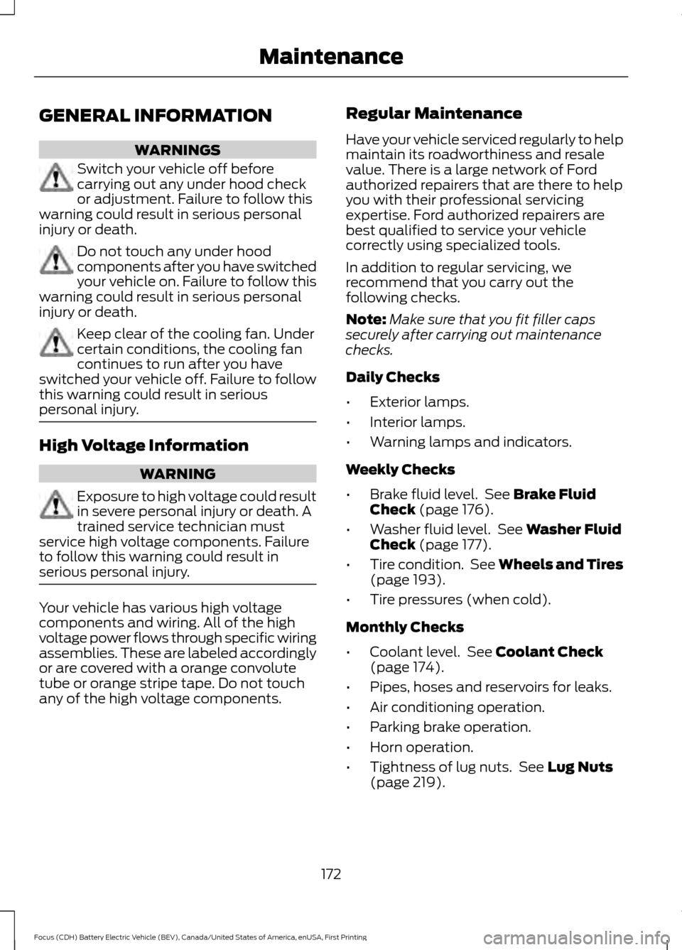 FORD FOCUS ELECTRIC 2016 3.G Owners Manual GENERAL INFORMATION
WARNINGS
Switch your vehicle off before
carrying out any under hood check
or adjustment. Failure to follow this
warning could result in serious personal
injury or death. Do not tou
