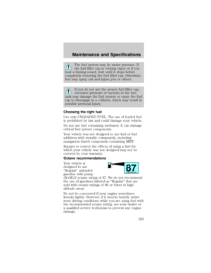 Page 225