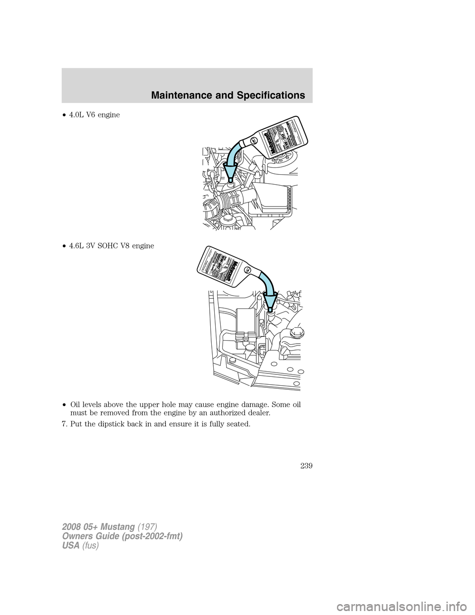 FORD MUSTANG 2008 5.G Owners Manual •4.0L V6 engine
•4.6L 3V SOHC V8 engine
•Oil levels above the upper hole may cause engine damage. Some oil
must be removed from the engine by an authorized dealer.
7. Put the dipstick back in an