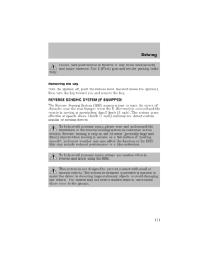 Page 111