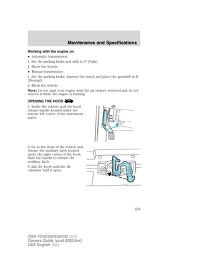 Page 233