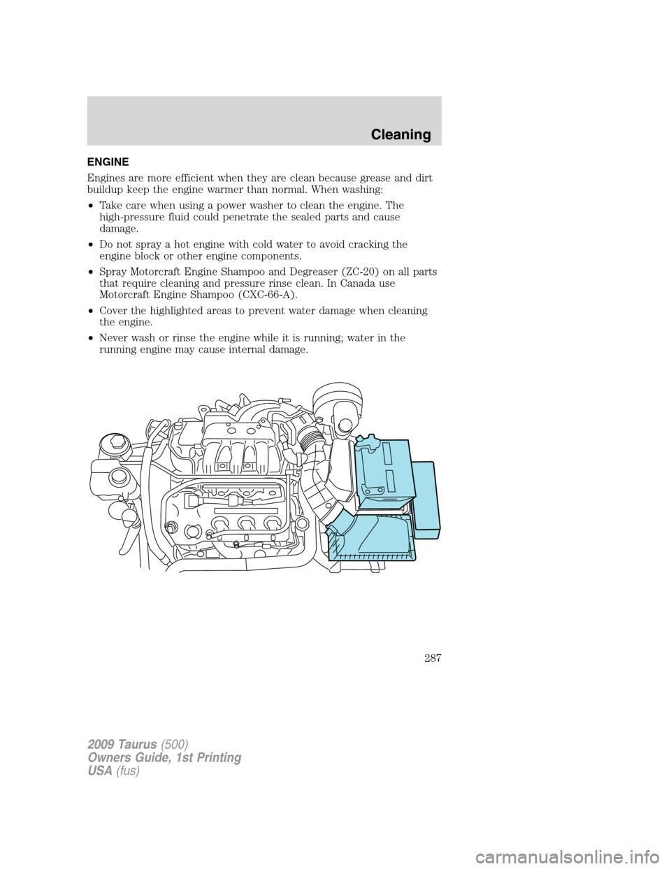 FORD TAURUS 2009 5.G Owners Manual ENGINE
Engines are more efficient when they are clean because grease and dirt
buildup keep the engine warmer than normal. When washing:
•Take care when using a power washer to clean the engine. The
