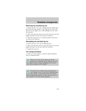 Page 119