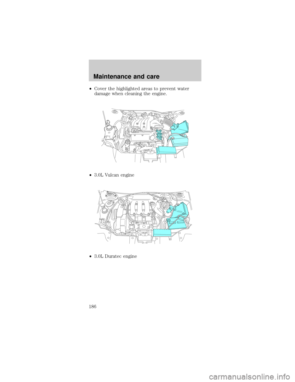 FORD TAURUS 1999 3.G Owners Manual ²Cover the highlighted areas to prevent water
damage when cleaning the engine.
²3.0L Vulcan engine
²3.0L Duratec engine
Maintenance and care
186 
