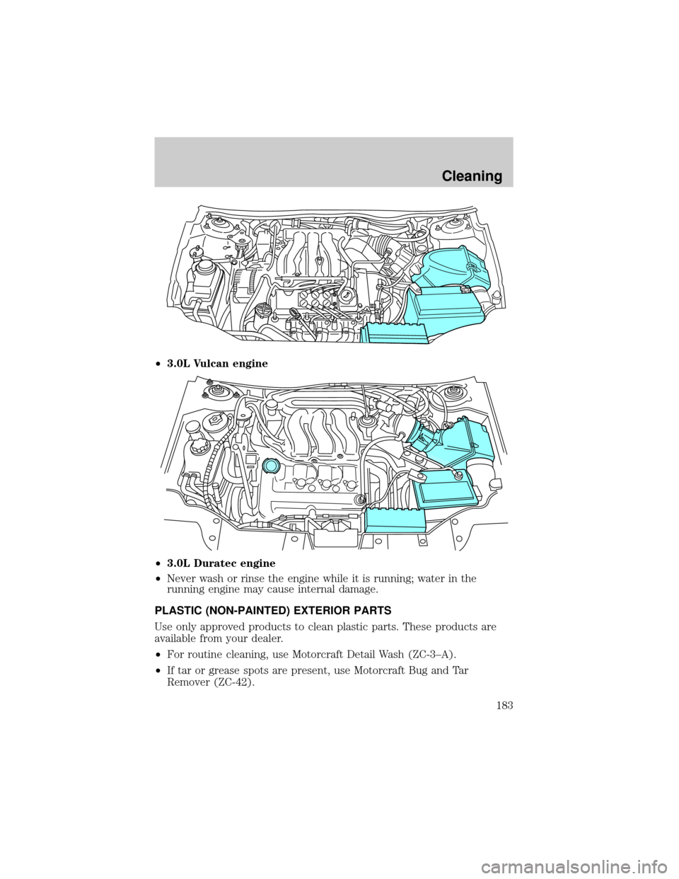 FORD TAURUS 2005 4.G Owners Manual ²3.0L Vulcan engine
²3.0L Duratec engine
²Never wash or rinse the engine while it is running; water in the
running engine may cause internal damage.
PLASTIC (NON-PAINTED) EXTERIOR PARTS
Use only ap