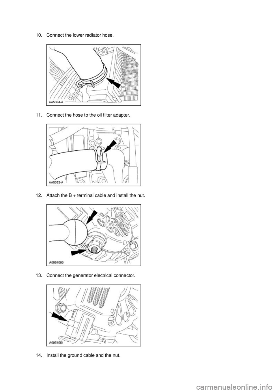FORD MUSTANG 2003  Workshop Manual 10. Connect the lower radiator hose. 
11. Connect the hose to the oil filter adapter. 
12. Attach the B + terminal cable and install the nut. 
13. Connect the generator electrical connector. 
14. Inst