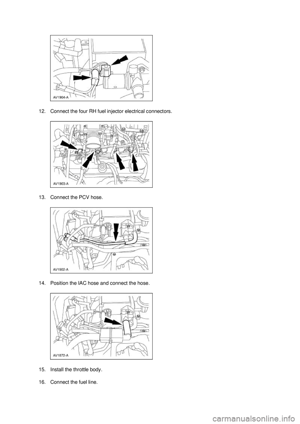 FORD MUSTANG 2003  Workshop Manual 12. Connect the four RH fuel injector electrical connectors. 
13. Connect the PCV hose. 
14. Position the IAC hose and connect the hose. 
15. Install the throttle body. 
16. Connect the fuel line.  K